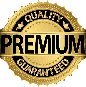 The Benefits of a Professional Website for Small Businesses